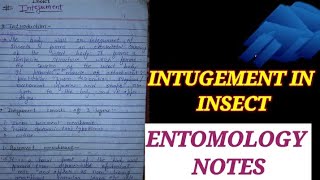 INTEGUMENT IN INSECT NOTES insectintegument entomologynotes insect msczoology bsczoology bio [upl. by Ashton616]