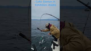 1st Coho Salmon fishing Ketchikan Alaska fishing alaska salmon salmondinner [upl. by Merdith]