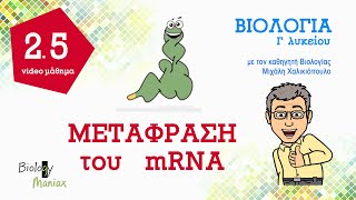 25 Μετάφραση του mRNA  Βιολογία Γ λυκείου  Biology maniax [upl. by Eelorac]