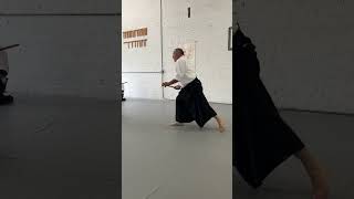 Yahe Solomon Bokken kiriotoshi gedan no stop [upl. by Grimbal]