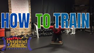 Best Exercises for Scapular Dyskinesis Mid Trap Exercises amp Low Trap Exercises Beginner amp Advanced [upl. by Linder]