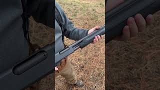 Remington 870 12gauge fyp fypシ゚ shotgun shorts hunting outdoors remington benelli [upl. by Eigriv]