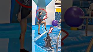 Unbelievable dolphin amp girl stunt shortsvideo [upl. by Annahsar]