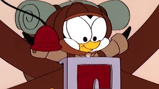 Chilly Willy en Español 🐧El soldado Chilly  Capitulos completos🐧Dibujos Animados [upl. by Innob]