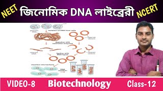 Genomic DNA Library in Bengali  জিনোমিক DNA লাইব্রেরী  Class12  WBCHSE  NEET [upl. by Darsie603]