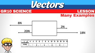 Vectors Grade 10 Science [upl. by Nihahs185]