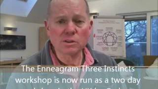 Enneagram Three Instincts subtypes Workshop [upl. by Aicenek]