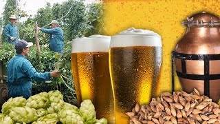 La CERVEZA Elaboración tradicional de esta bebida fermentada  Oficios Perdidos  Documental [upl. by Jeanelle]