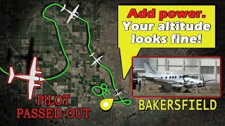 Hero Passenger LANDS PLANE After Pilot Passed Out [upl. by Ynnub413]