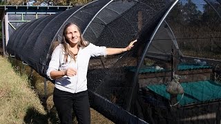 DIY Hoop House The Easy Greenhouse Alternative  Homesteading Basics [upl. by Nnaik]