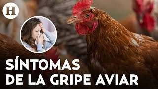 Gripe aviar H5N2 causó una muerte en México ¿Cuáles son los síntomas de esta enfermedad [upl. by Roosevelt]