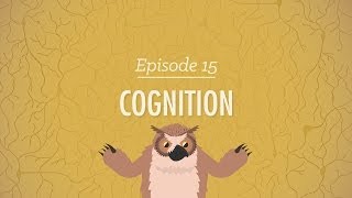 Cognition  How Your Mind Can Amaze and Betray You Crash Course Psychology 15 [upl. by Haskel]