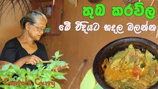 තුබ කරවිල හදන්නේ මෙහෙමයි  Cantola recipe with English subtitles  Aththammai mmai thuma karawila [upl. by Barram]