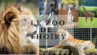 Zoo de Thoiry [upl. by Dodie326]