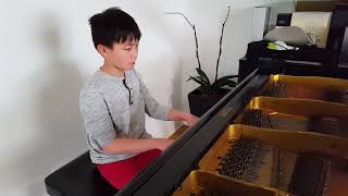 Playing Beethoven Leichte Sonate for fun on my Blüthner grand piano [upl. by Waynant708]