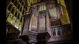 Organ Recital at Sherborne Abbey Dorset January 2023 [upl. by Dolorita712]