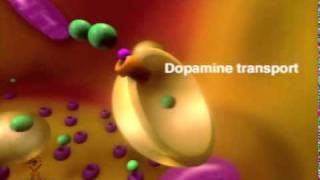 MOA of methylphenidate [upl. by Elockin]