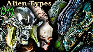 Every Type of XENOMORPH  ALIEN [upl. by Tnias]