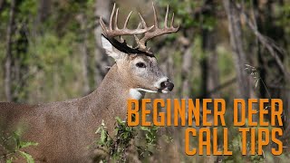 STOP USING YOUR DEER CALLS Until You Watch This Video [upl. by Judye]