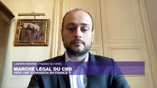 Marché légal du CBD  vers une expansion en France [upl. by Yablon167]