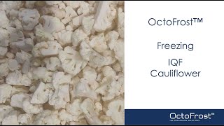 OctoFrost™ IQF Processing Cauliflower [upl. by Eidur]