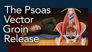 Psoas Vector Groin Release Somatics for a tight psoas muscle [upl. by Ilatfen]