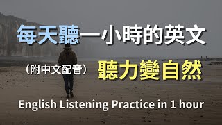 🎧保母級聽力訓練｜隨時隨地的日常英語｜學習常用對話句子｜真實生活場景示範｜簡單易學英文｜快速提升聽力能力｜English Listening（附中文配音） [upl. by Petula600]