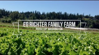 Meet EG Richter Family Farm  Puyallup Washington [upl. by Ottie]