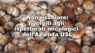 Funghi velenosi come riconoscerli [upl. by Kravits]