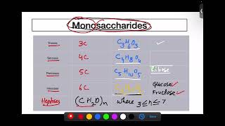 Monosaccharides and Disaccharides [upl. by Brandyn]