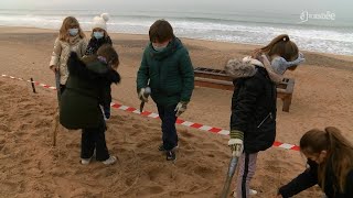 Environnement  Une réhabilitation des dunes par les enfants [upl. by Lehman]