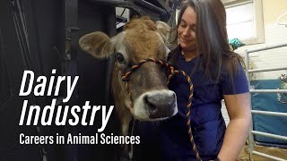 Dairy Industry l Careers in Animal Sciences [upl. by Yzmar]