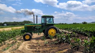 Straight Piped John Deere 4630 Hilling Corn [upl. by Einal]