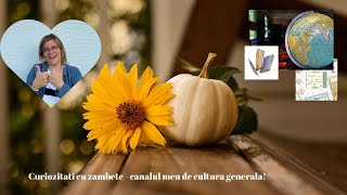 7 Curiozitati cu Zambete  Cultura generala [upl. by Ximenez]