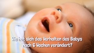 Das Verhalten des Babys in den ersten 6 Wochen [upl. by Cynthia]