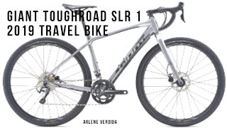 GIANT TOUGHROAD SLR GX1 2019  GRAVEL BIKE [upl. by Natasha]