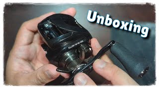 Daiwa Zillion TW HD JDM  The Reel Nobody Is Talking About [upl. by Anirtak591]