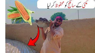 Part 2 How to Save Corn Silage  Village Life Vlog [upl. by Broderick792]