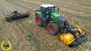 Maisstoppel Mulchen  Fendt 930 Vario  Müthing Mulcher  LU Baltic Agrar Service Kock [upl. by Cost]