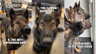 20 Sounds A German Shepherd Makes [upl. by Baniaz]