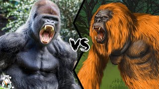 Gorilla VS Gigantopithecus  The only primate that could have defeated a gorilla [upl. by Aja71]