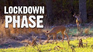 Where Are the Bucks  Rut Lockdown [upl. by Monika]