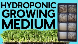 Easy Hydroponic Growing MediumMicrogreens [upl. by Louise]