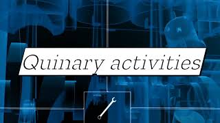 What are Quinary activities What are example of Quinary activities  tertiary quinary activities [upl. by Puklich478]