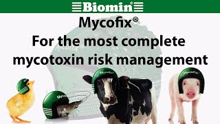 Mycofix®  For the most complete mycotoxin risk management [upl. by Warram]