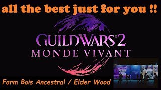 gw2  guide Farm Bois Ancestral  Elder Wood  for easy gold  po [upl. by Nylsor]