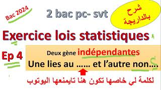 lois statistiques dihybridisme  indépendante une autosomale et lautre portée par chromosome X [upl. by Nitsua]