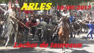 ArlesFéria du RizLacher de Taureaux10092017 [upl. by Reave697]