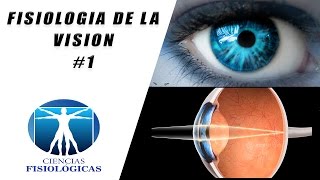 Fisiologia de la Vision 1 [upl. by Nevarc394]