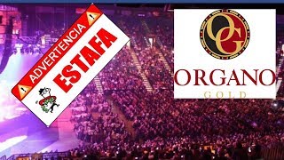 Organo Gold Estafa ¿Fraude o Buen Negocio [upl. by Sevy]